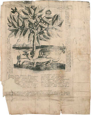 [Редкость]. Феофилакт. Обличение неправды раскольническия. [М.: Синодальная тип.], 1745.